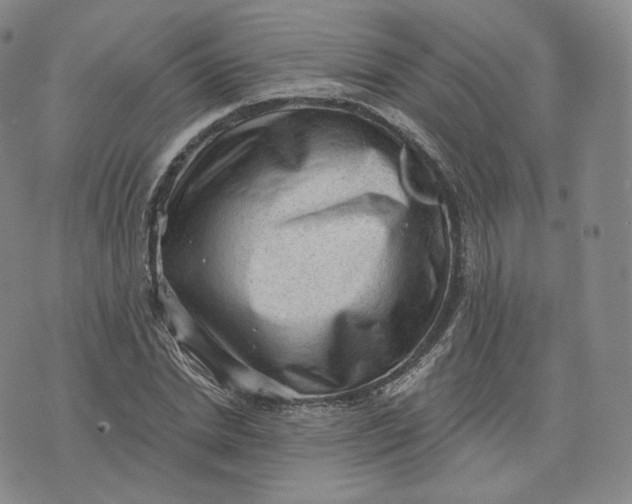 X0000076320830200610161642