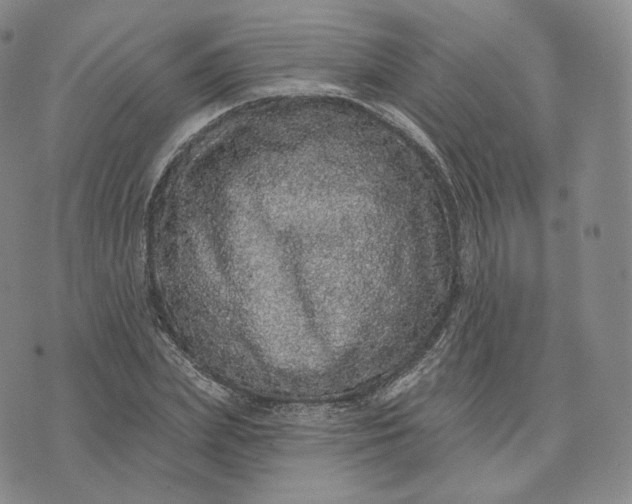 X0000076320831200610161642