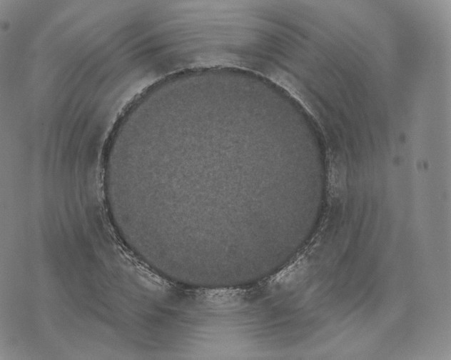 X0000076320832200610161642