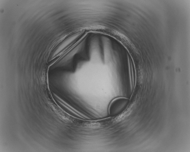 X0000076320833200610161642