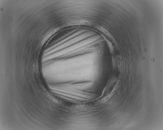 X0000076320834200610161642