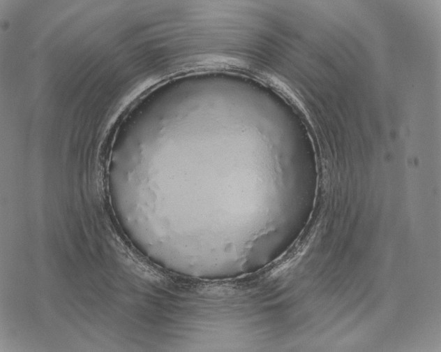 X0000076320835200610161642