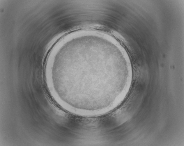 X0000076320836200610161642