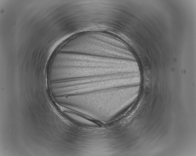 X0000076320838200610161642