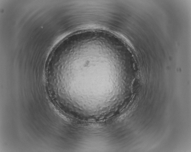 X0000076320839200610161642