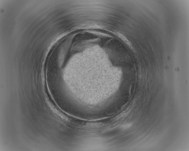 X0000076320840200610161642