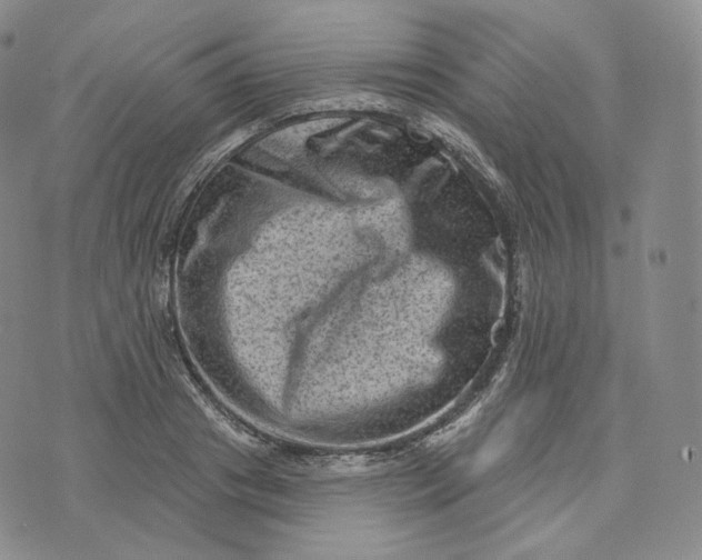 X0000076320841200610161642