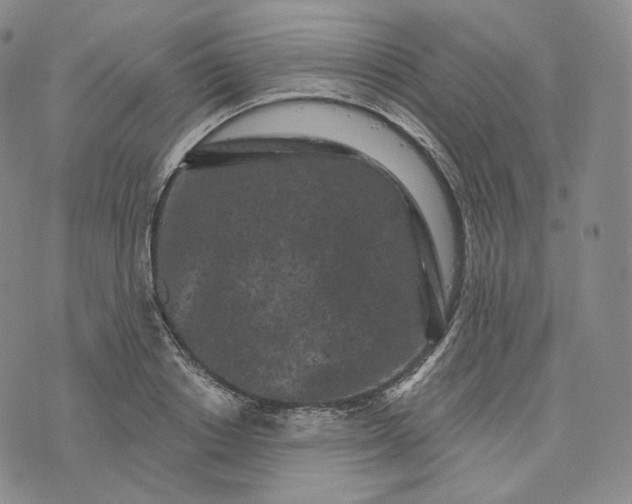 X0000076320842200610161642