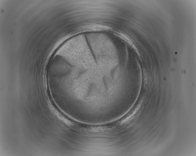 X0000076320843200610161642