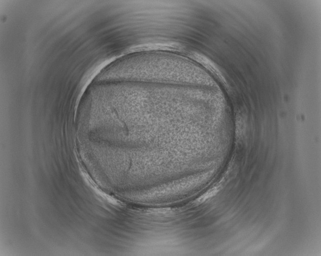 X0000076320844200610161642