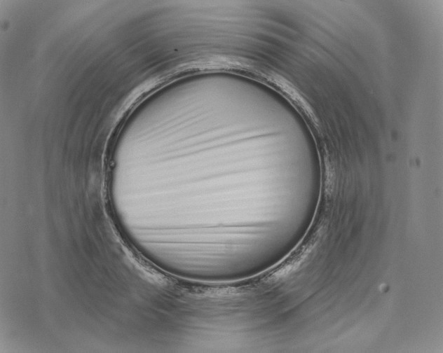 X0000076320845200610161642