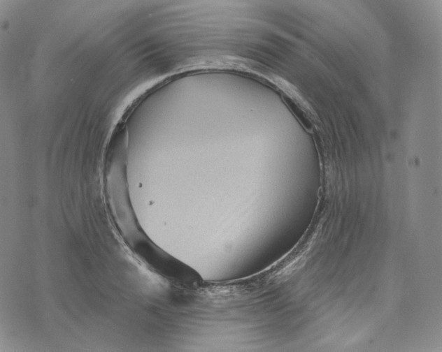 X0000076320846200610161642