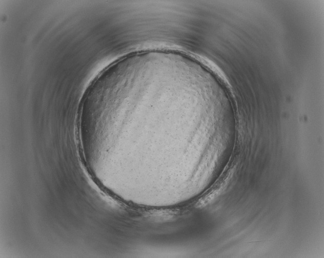 X0000076320847200610161642