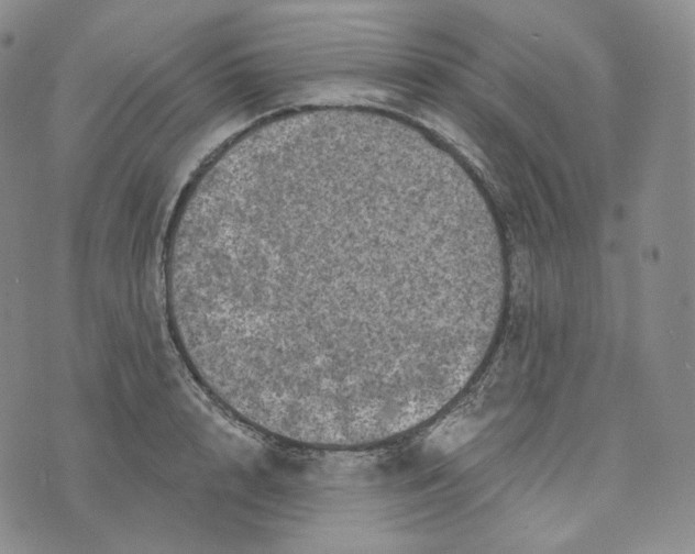 X0000076320848200610161642