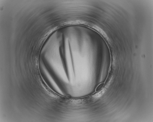 X0000076320849200610161642