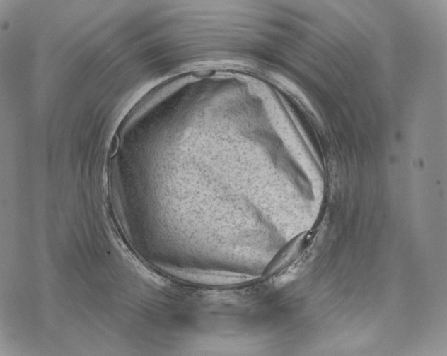 X0000076320852200610161642