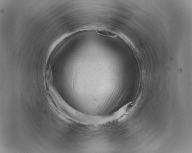 X0000076320854200610161642