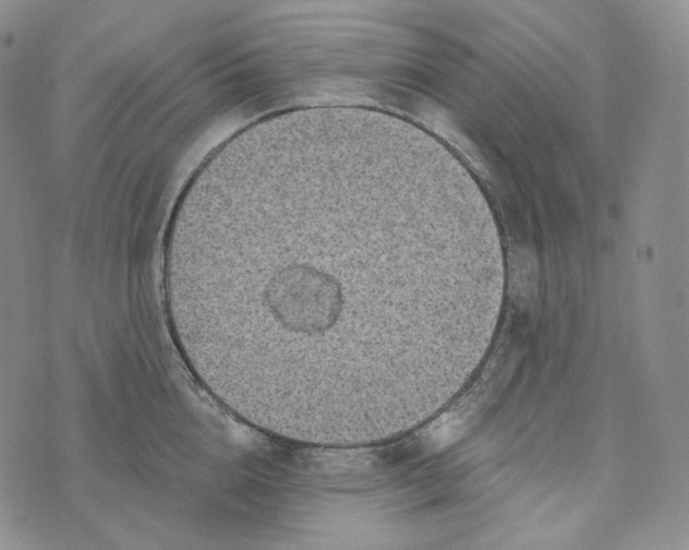 X0000076320856200610161642