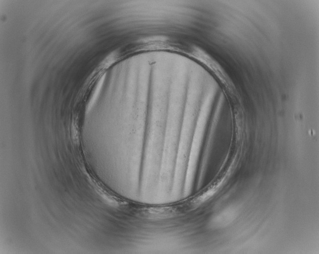 X0000076320857200610161642