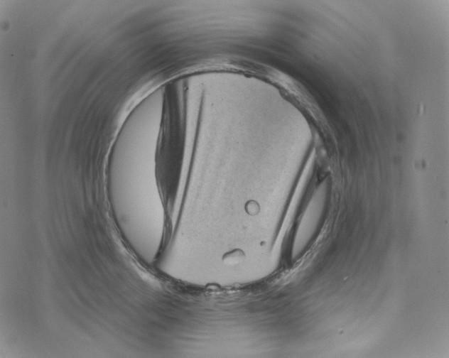 X0000076320858200610161642