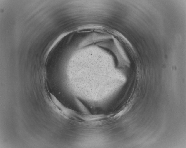 X0000076320860200610161642