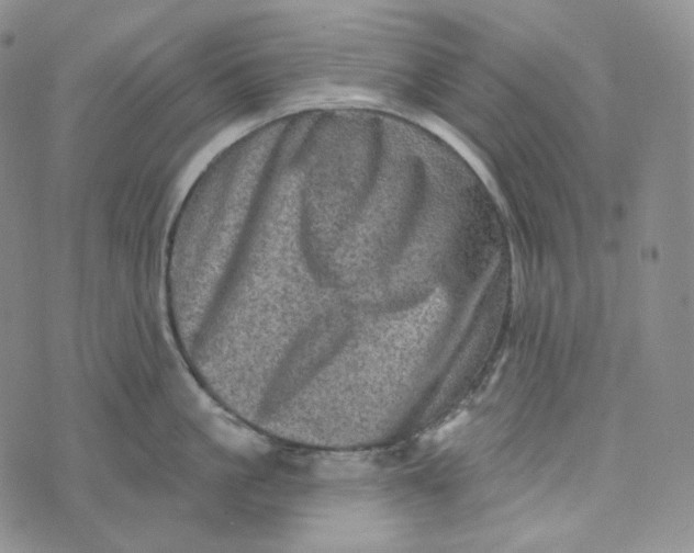 X0000076320861200610161642