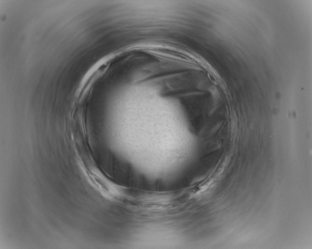 X0000076320862200610161642