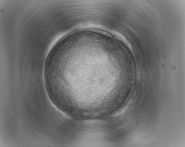 X0000076320863200610161642