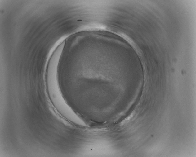 X0000076320864200610161642