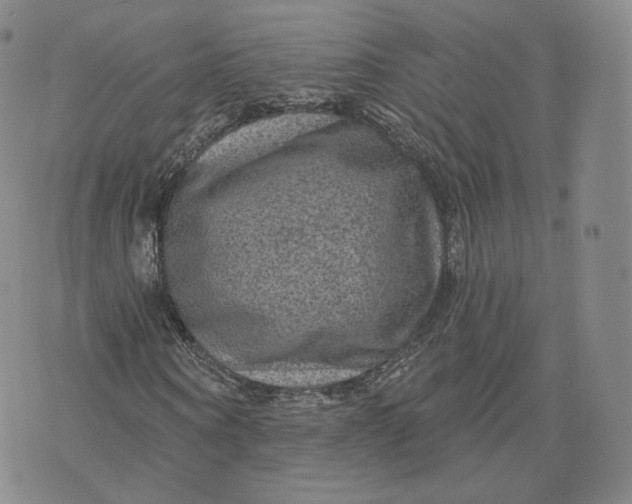 X0000076320866200610161641