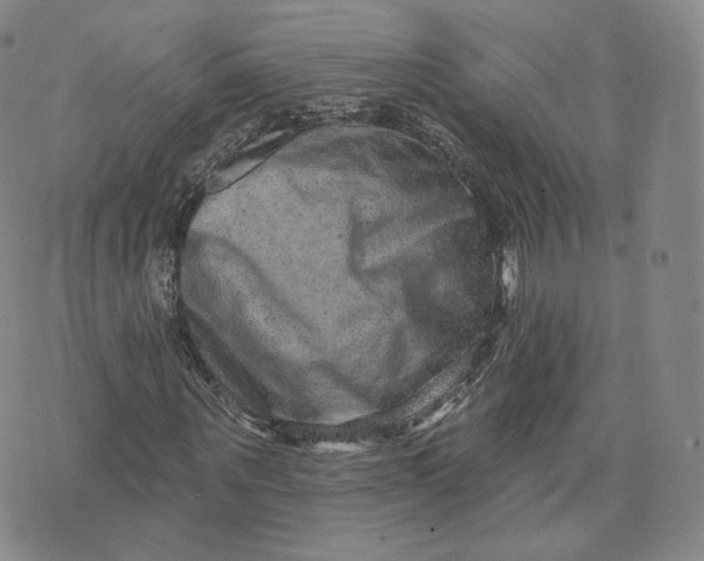 X0000076320867200610161641