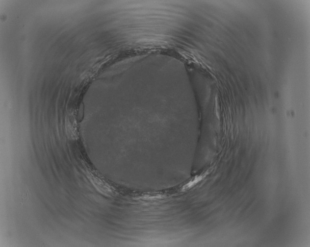 X0000076320868200610161641