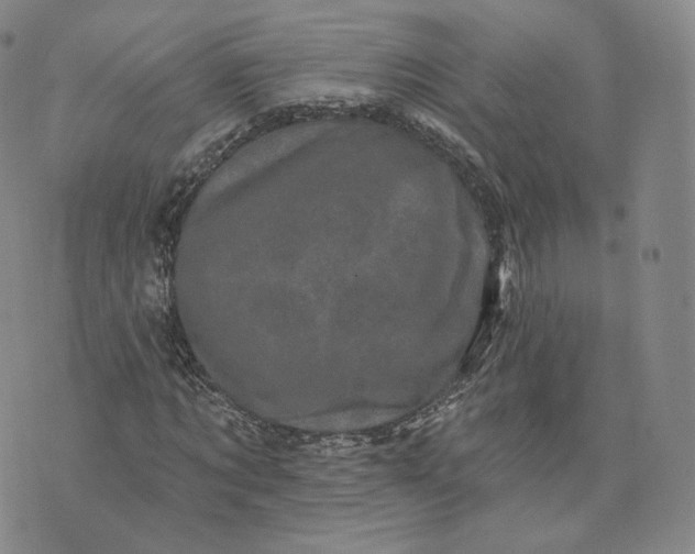 X0000076320869200610161641