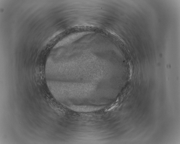 X0000076320870200610161641