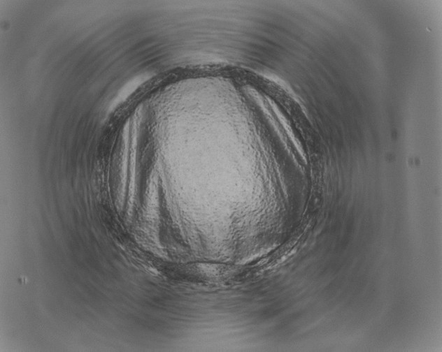 X0000076320871200610161641