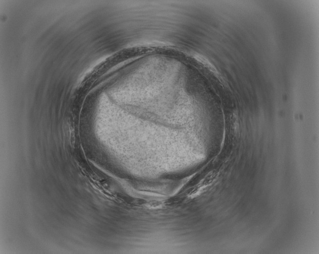 X0000076320872200610161641