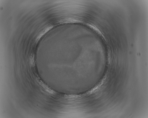 X0000076320873200610161641