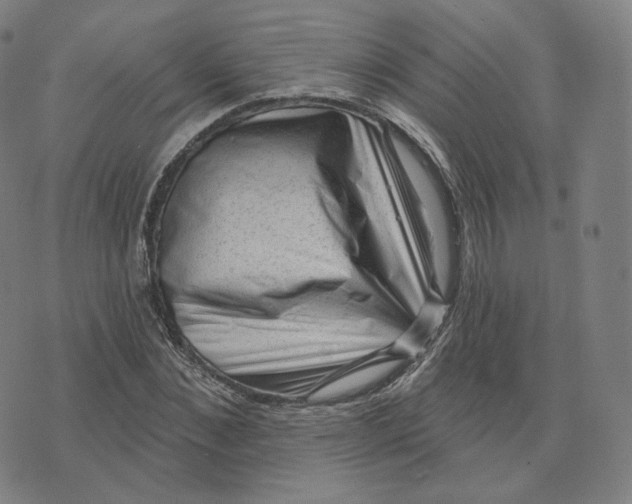 X0000076320876200610161641