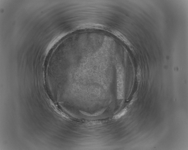 X0000076320877200610161641