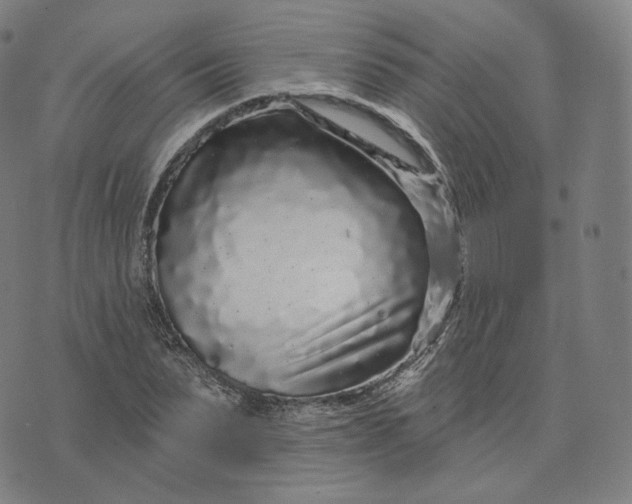 X0000076320879200610161641