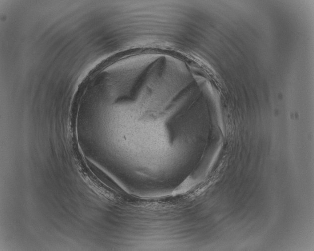 X0000076320880200610161641