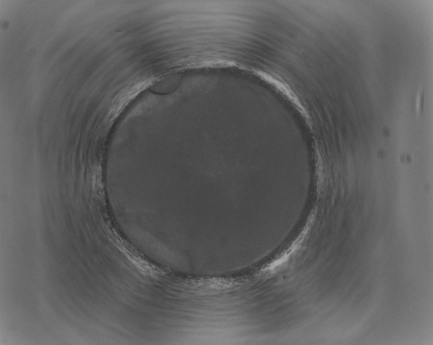 X0000076320881200610161641