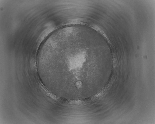 X0000076320882200610161641