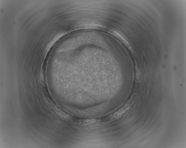 X0000076320883200610161641