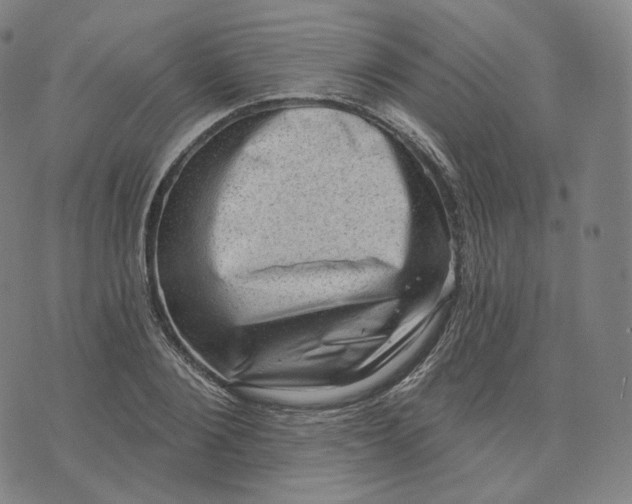 X0000076320884200610161641