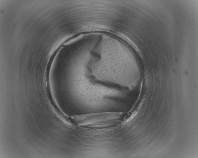 X0000076320885200610161641