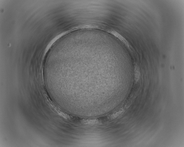 X0000076320886200610161641