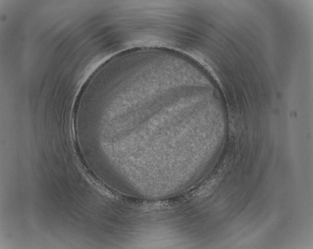 X0000076320887200610161641