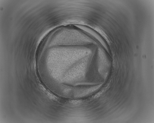 X0000076320888200610161641