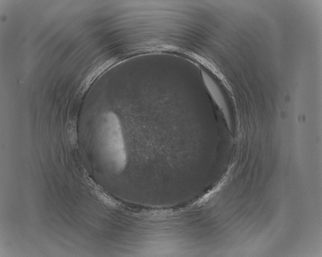 X0000076320889200610161641